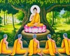 Phật nói “Từ Bi Hỉ Xả” là gì?